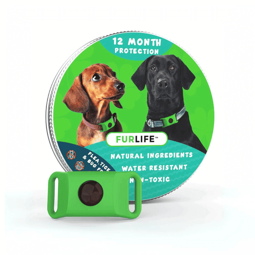 FurLife™ 12 Months Flea and Tick Free