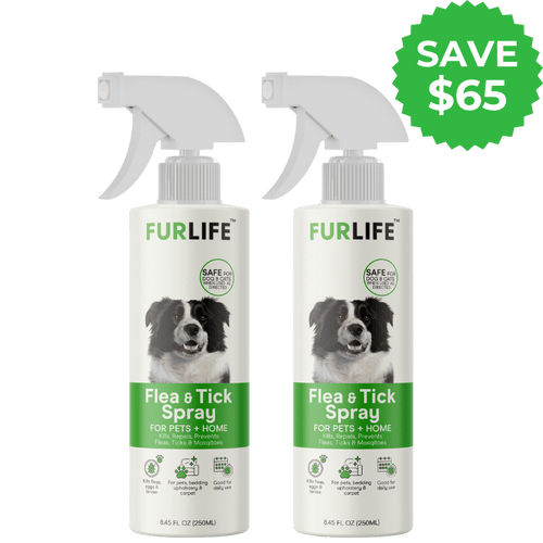2 Month Complete Protection Bundle