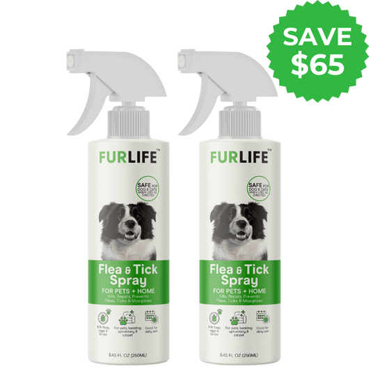 2 Month Complete Protection Bundle