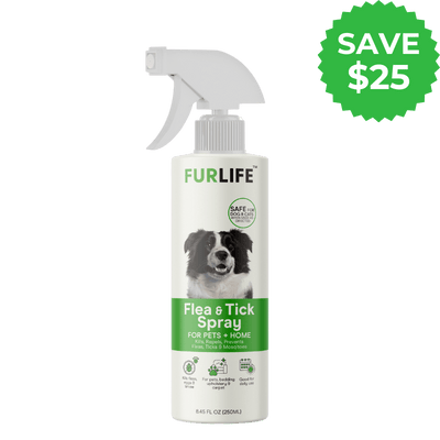 1 Month Complete Protection Bundle