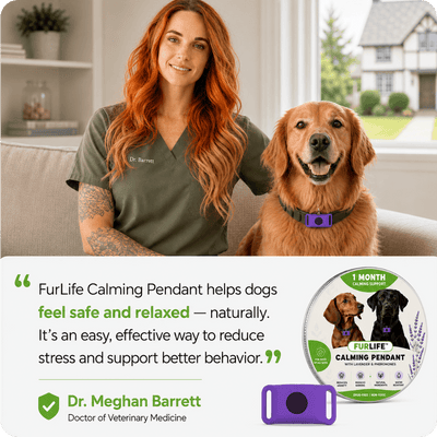 FurLife™ Imprint - Relax and Calming Pheromone Pendant