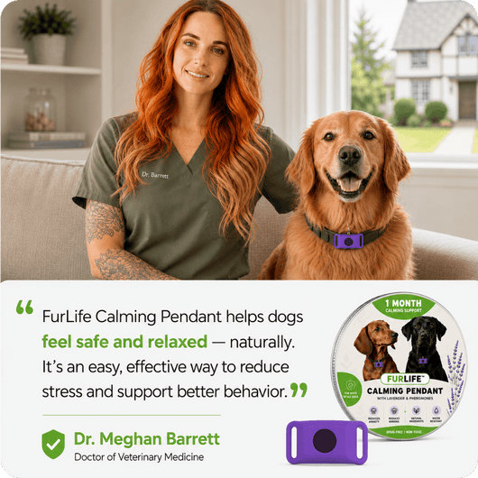 FurLife™ Imprint - Relax and Calming Pheromone Pendant