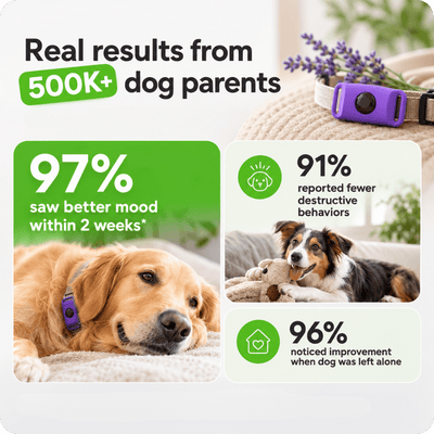 FurLife™ Imprint - Relax and Calming Pheromone Pendant