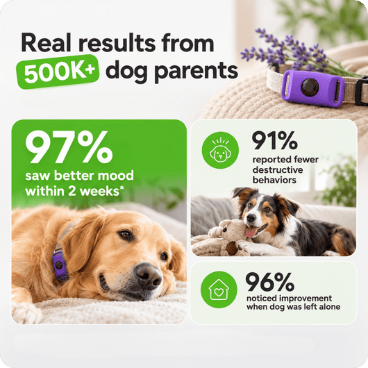 FurLife™ Calm & Comfort Dog Pendant
