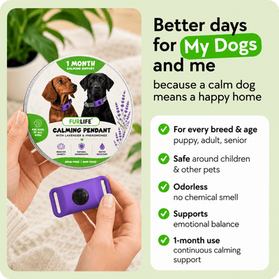 FurLife™ Imprint - Relax and Calming Pheromone Pendant
