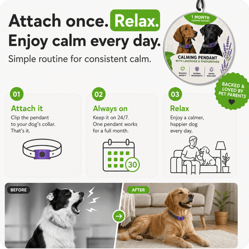 FurLife™ 1 Month Calm & Comfort Pendant