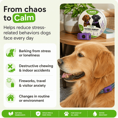 FurLife™ Imprint - Relax and Calming Pheromone Pendant