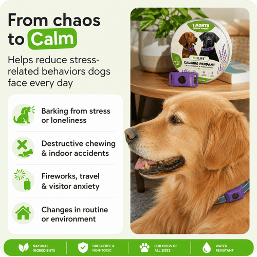 FurLife™ Imprint - Relax and Calming Pheromone Pendant