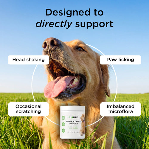 FurLife™ - Allergy Relief Powder