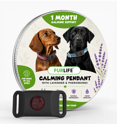 FurLife™ Calm & Comfort Dog Pendant
