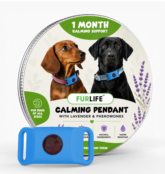 FurLife™ Calm & Comfort Dog Pendant
