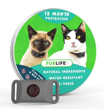cat a flea and tick collar