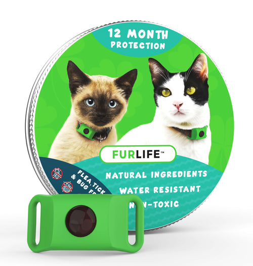 FurLife™ 12 Months Flea and Tick Free