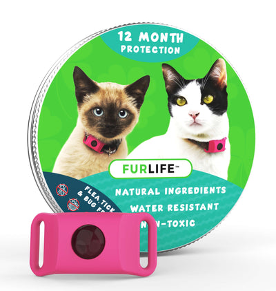 cat a flea and tick collar
