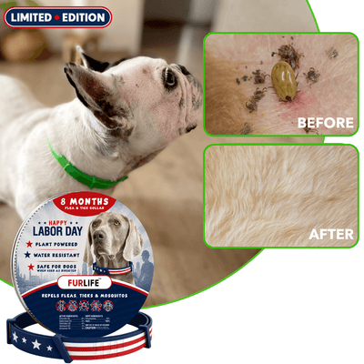FurLife™ - 8 Months All Natural Flea and Tick Collar for Dogs