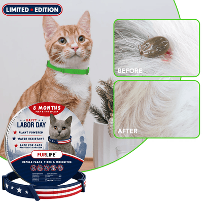 FurLife™ - 8 Months All Natural Flea and Tick Collar for Cats
