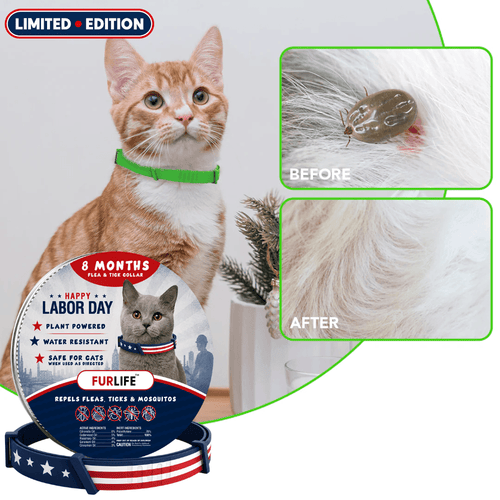 FurLife™ - 8 Months All Natural Flea and Tick Collar for Cats