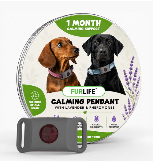 FurLife™ Calm & Comfort Dog Pendant