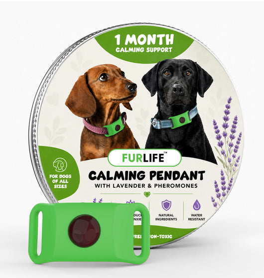 FurLife™ Calm & Comfort Dog Pendant