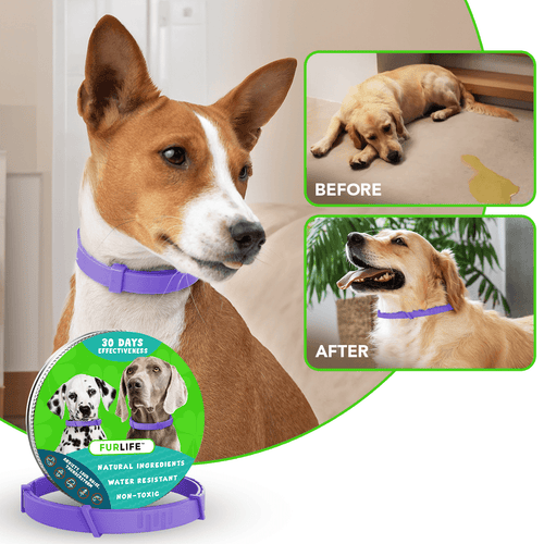 FurLife™ - Natural Pheromone Calming Collar