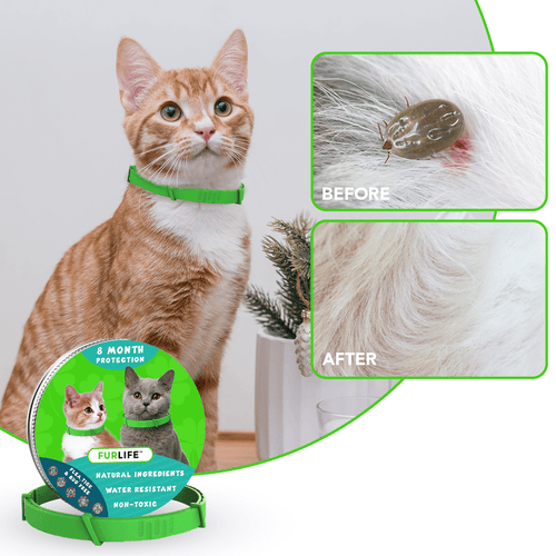 FurLife™ - 8 Months Flea and Tick Free