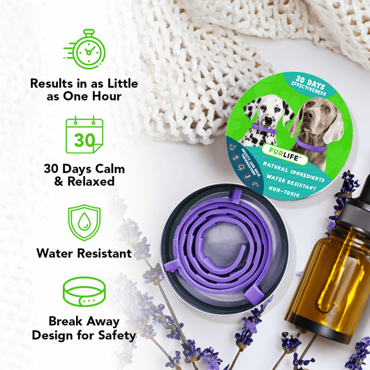 FurLife™ - Natural Pheromone Calming Collar