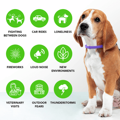 FurLife™ - Natural Pheromone Calming Collar