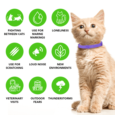 FurLife™ - Natural Pheromone Calming Collar