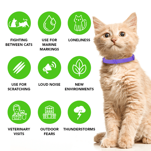 FurLife™ - Natural Pheromone Calming Collar
