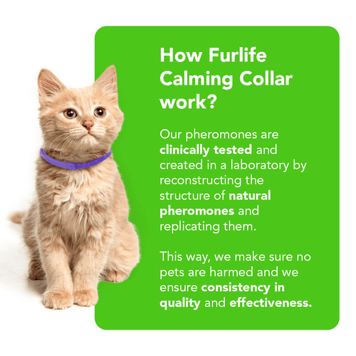 FurLife™ - Natural Pheromone Calming Collar