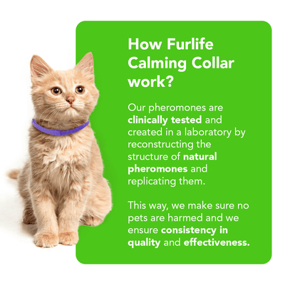FurLife™ - Natural Pheromone Calming Collar