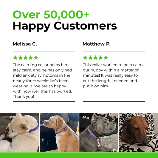 FurLife™ - Natural Pheromone Calming Collar for Dogs