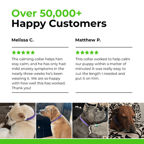 FurLife™ - Natural Pheromone Calming Collar