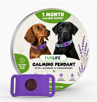 FurLife™ Calm & Comfort Dog Pendant