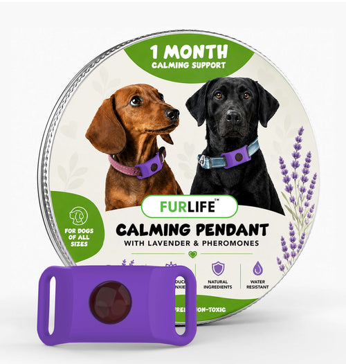FurLife™ Calm & Comfort Dog Pendant