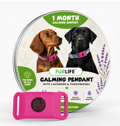 FurLife™ Calm & Comfort Dog Pendant