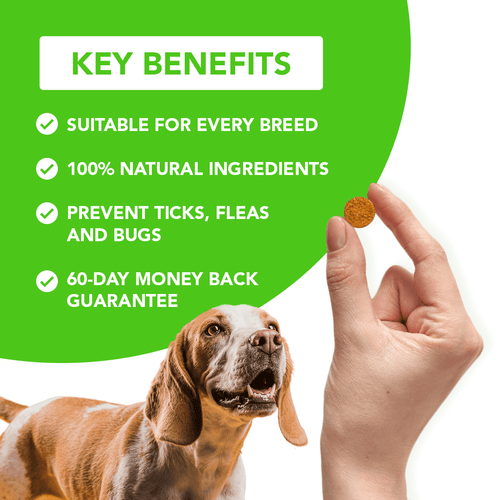 FurLife™ - Flea & Tick Defense Chews