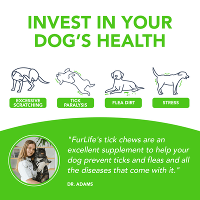 FurLife™ - All Natural Flea & Tick Defense Chews for Dogs