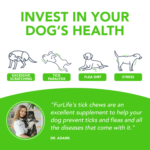 FurLife™ - Flea & Tick Defense Chews