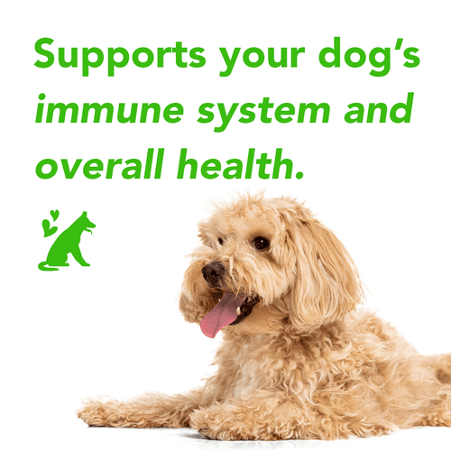 FurLife™ - Flea & Tick Defense Chews
