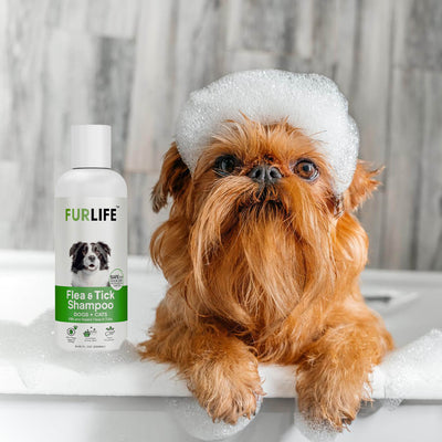 FurLife™ - Full Protection Bundle