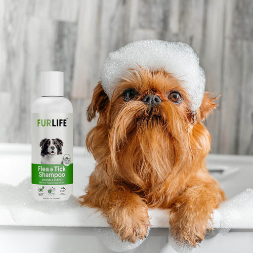 FurLife™ - Flea & Tick Shampoo for Dogs