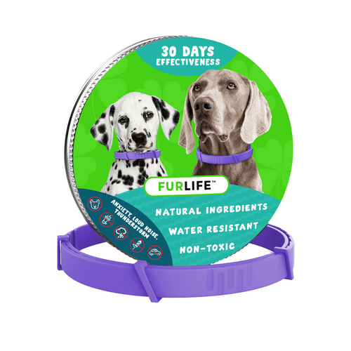 FurLife™ - Natural Pheromone Calming Collar