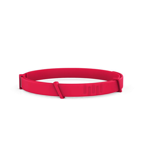 FurLife™ - 8 Months All Natural Flea and Tick Collar for Dogs