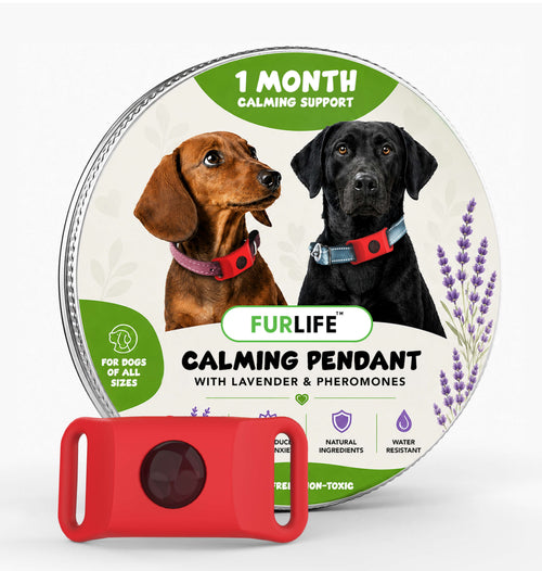 FurLife™ Calm & Comfort Dog Pendant