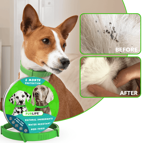 FurLife™ 8 Months Flea and Tick Free