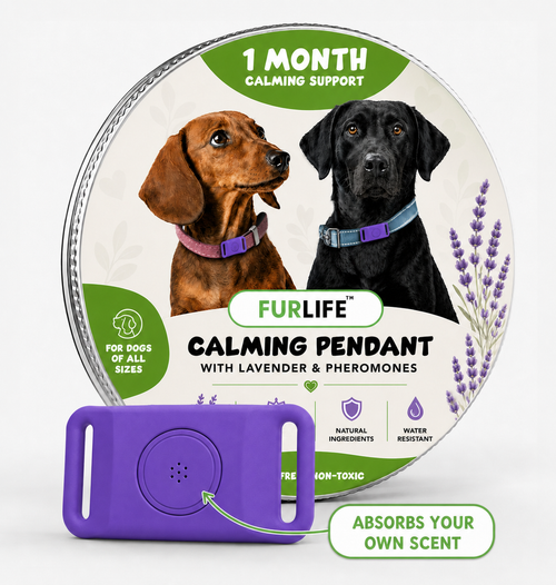 FurLife™ Imprint - Relax and Calming Pheromone Pendant